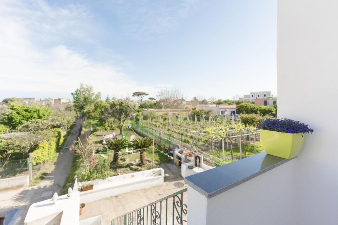 Green Island Apartment Procida Esterno foto
