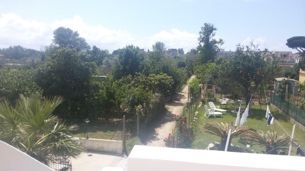 Green Island Apartment Procida Esterno foto