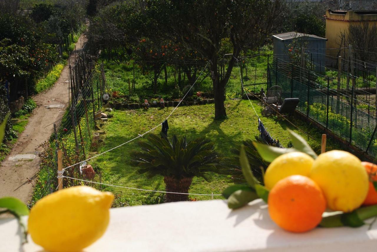 Green Island Apartment Procida Esterno foto