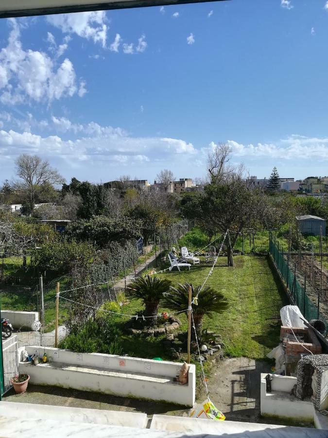 Green Island Apartment Procida Esterno foto